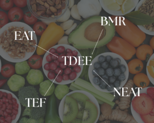 Metabolism Blog Post