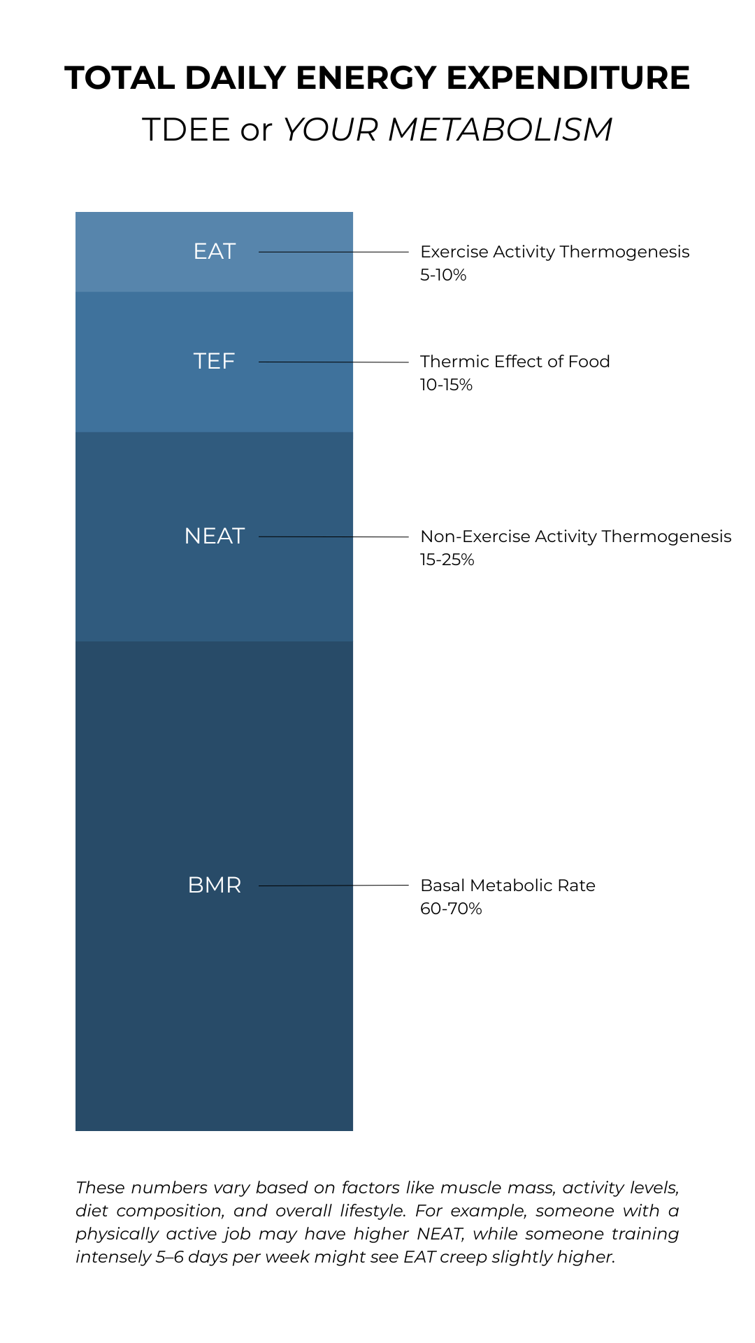 Total Daily Energy Expenditure Graph